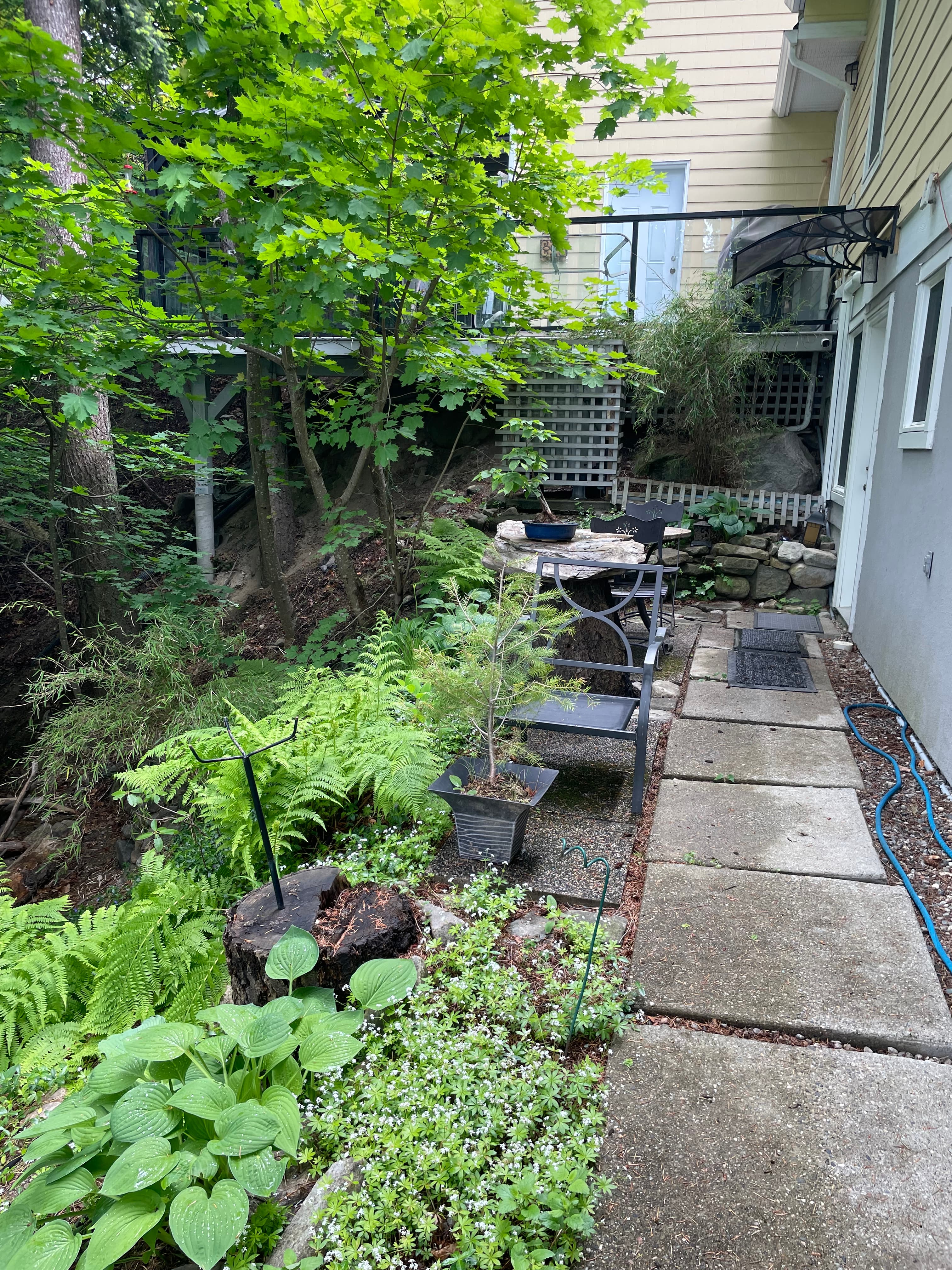 Forest view room - 8